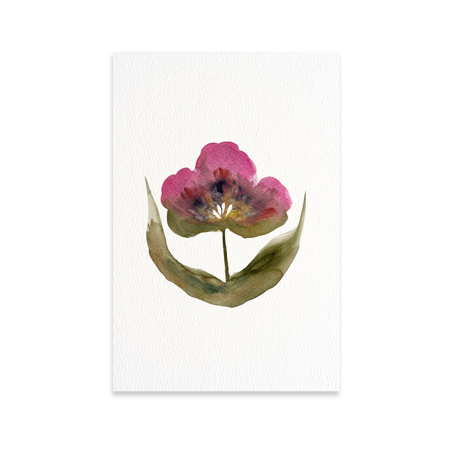 Framed Magenta Bloom