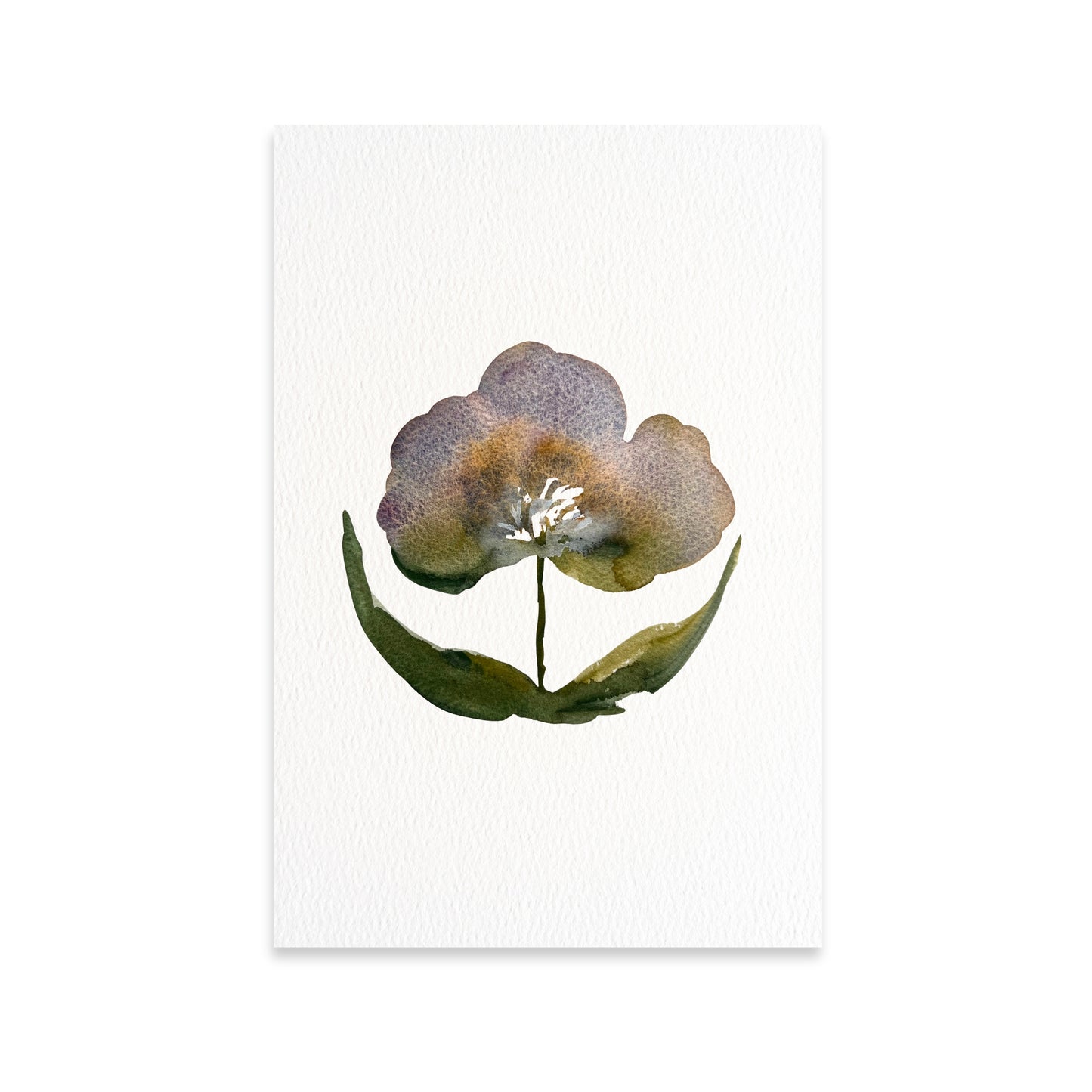 Framed Violet Bloom
