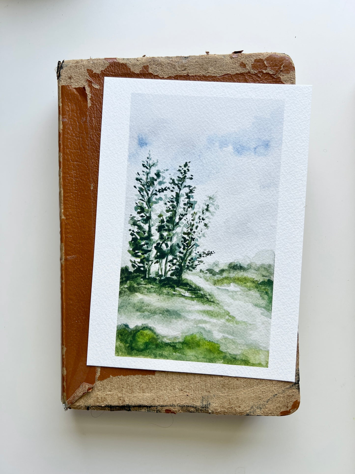 Summer Hill Print