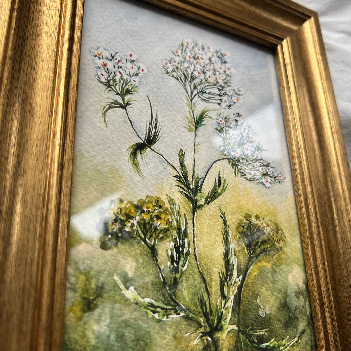 Framed Yarrow
