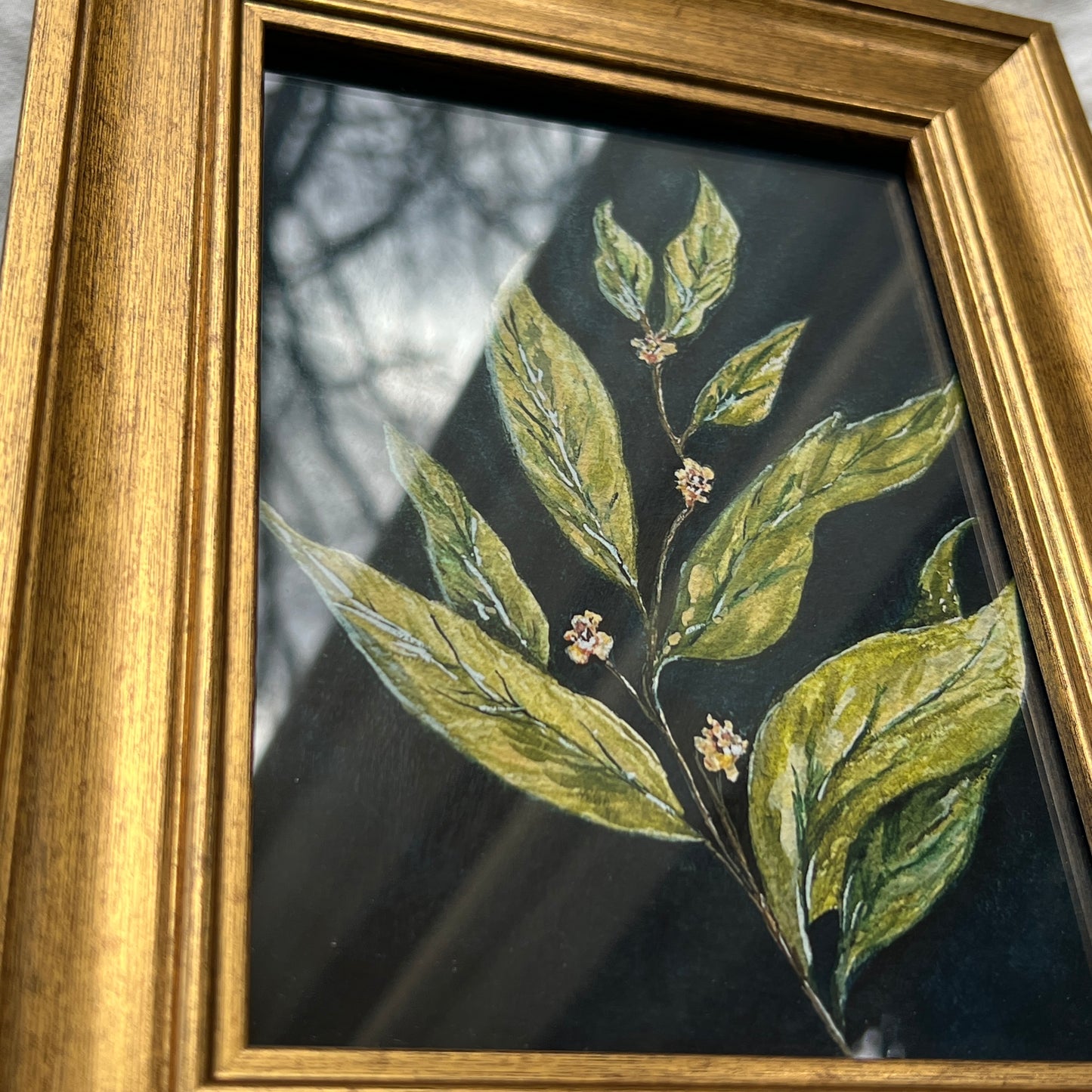 Framed Laurel Leaf