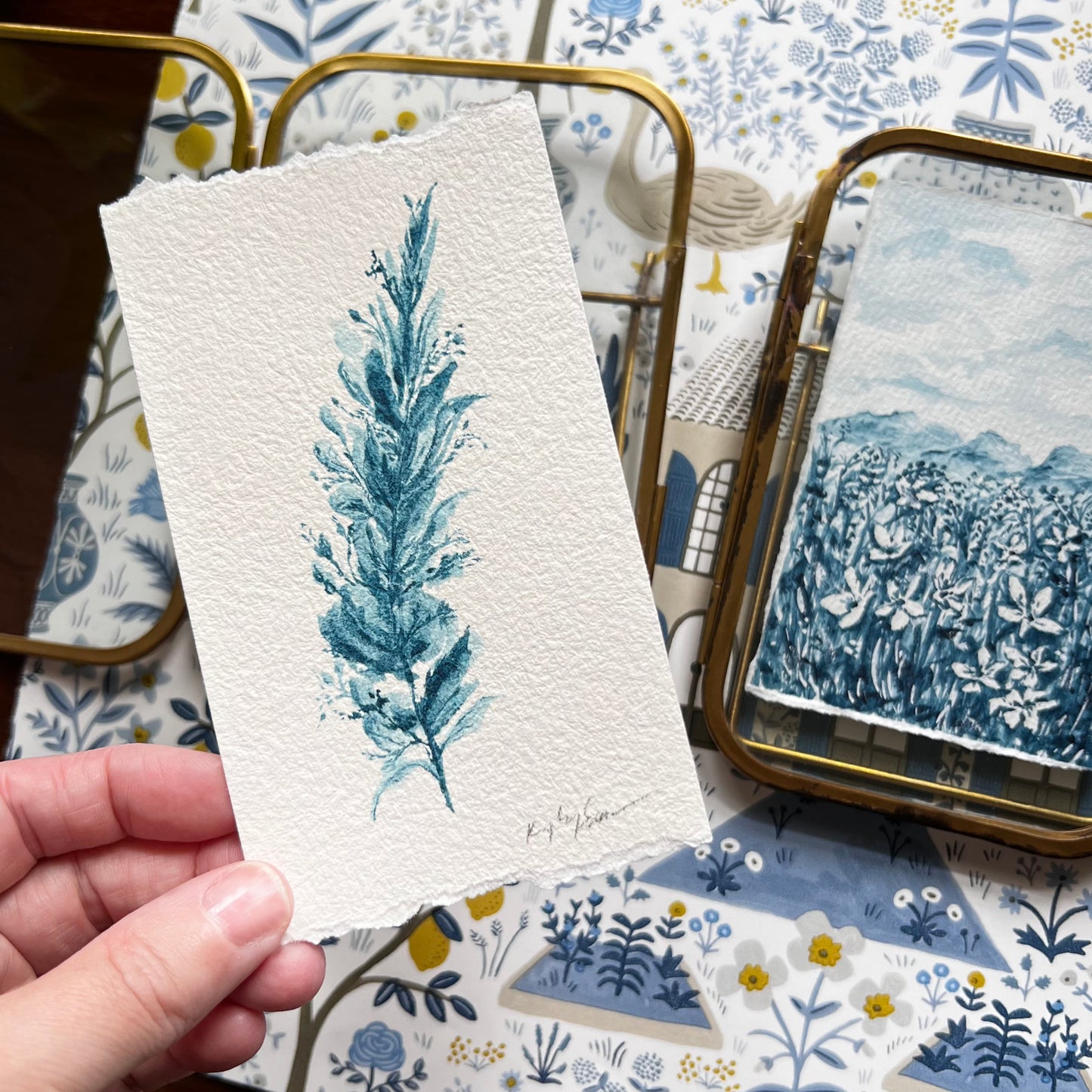Mayan Blue Stem