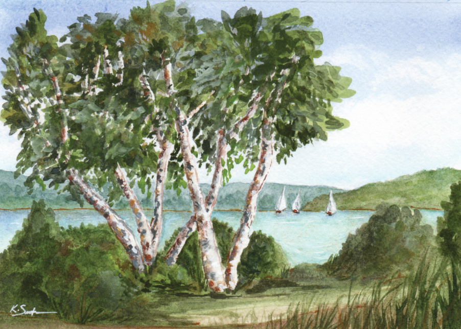 Michigan Birch Print