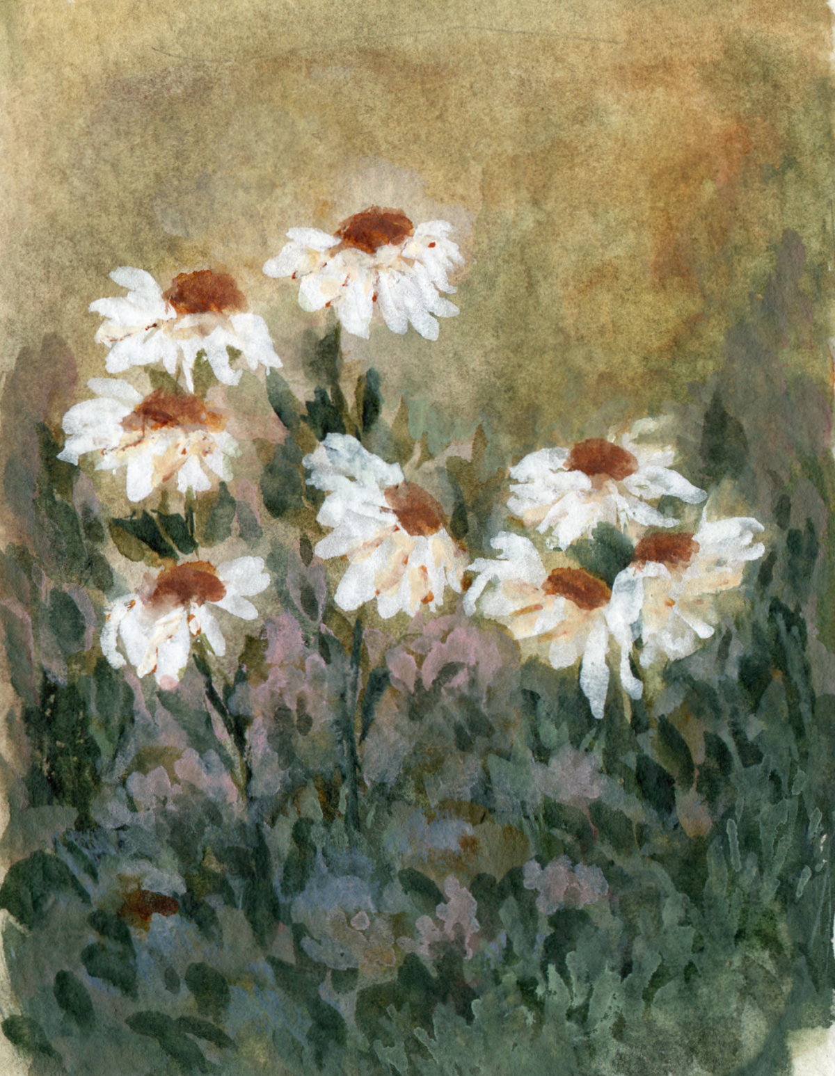 Vintage Daisy