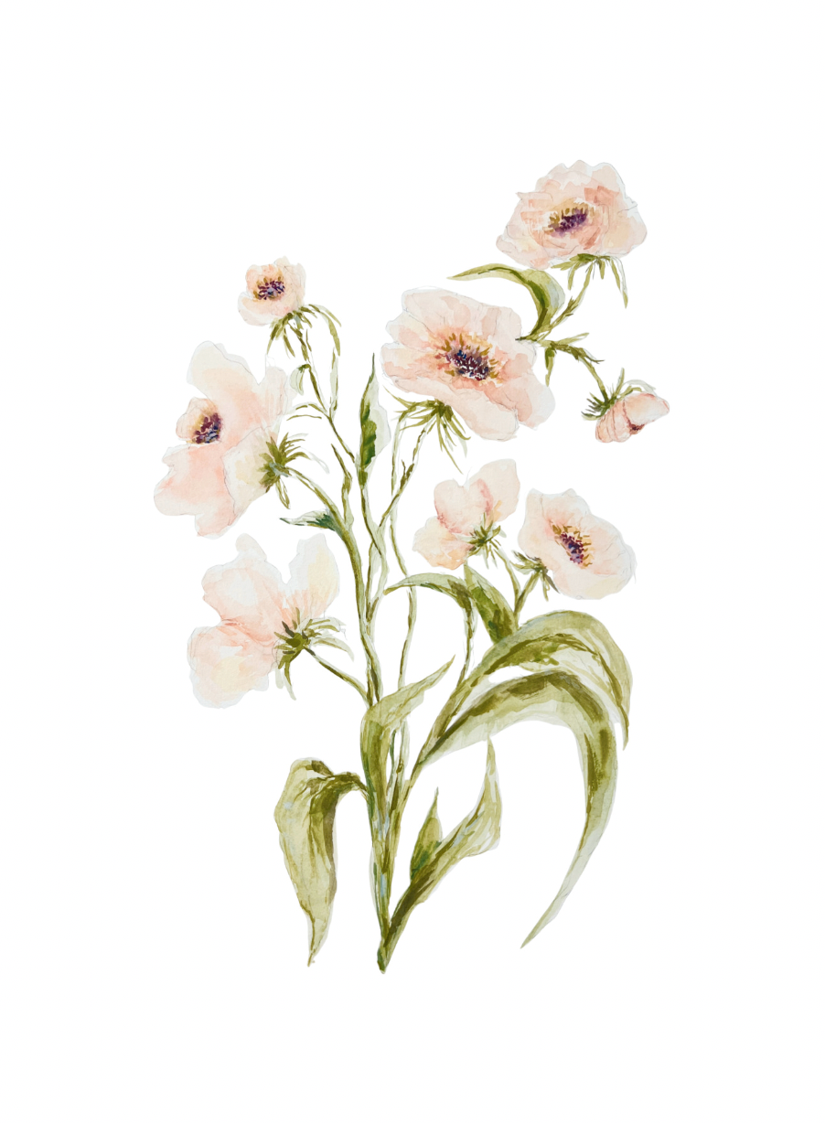 Spring Floral Print