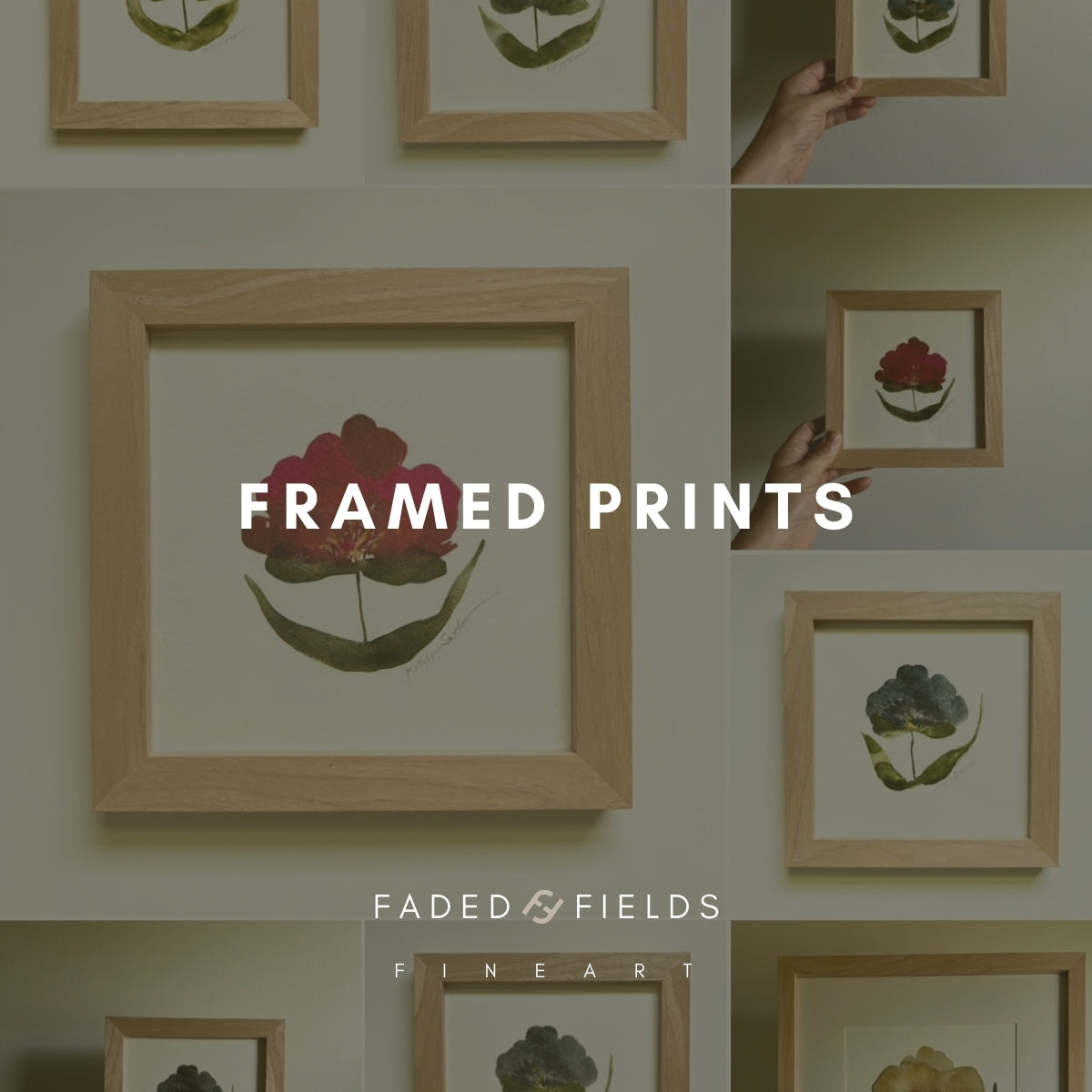 Framed Prints