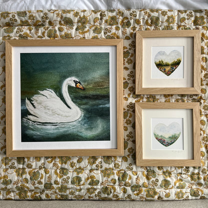 Swan Framed Print