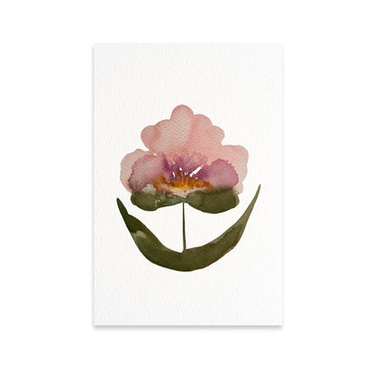 Framed Pink Bloom