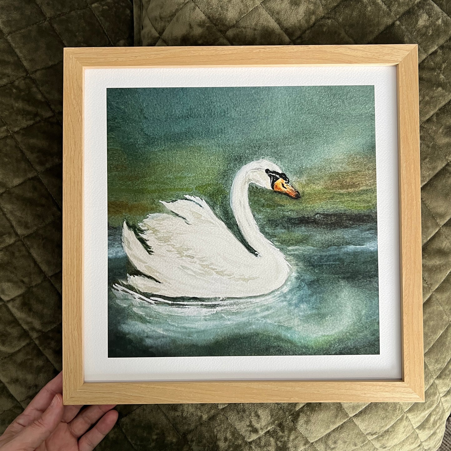 Swan Framed Print
