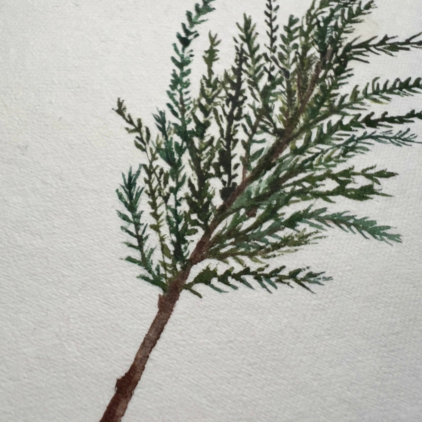 Fir Branch Hand Painted Card