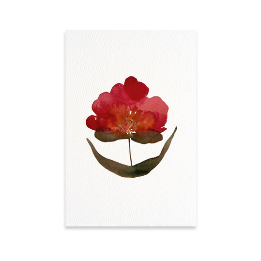 Red Bloom