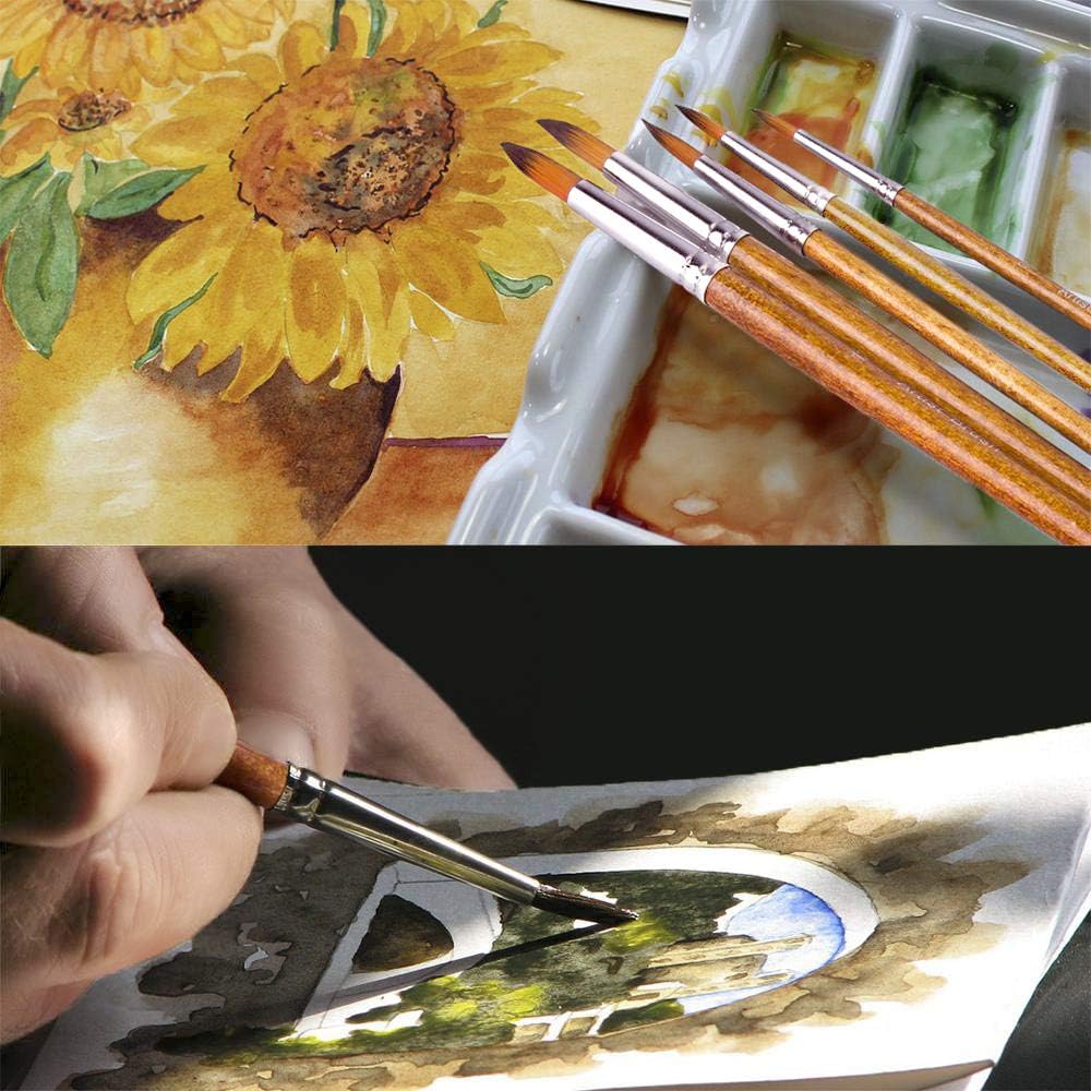 Artist Watercolor Paint Brushes