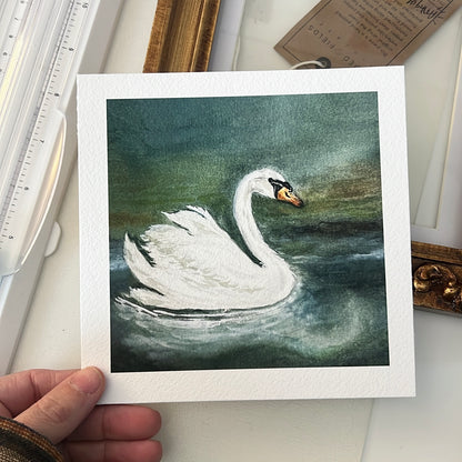 Limited Edition - Swan Giclée Print