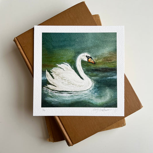 Limited Edition - Swan Giclée Print