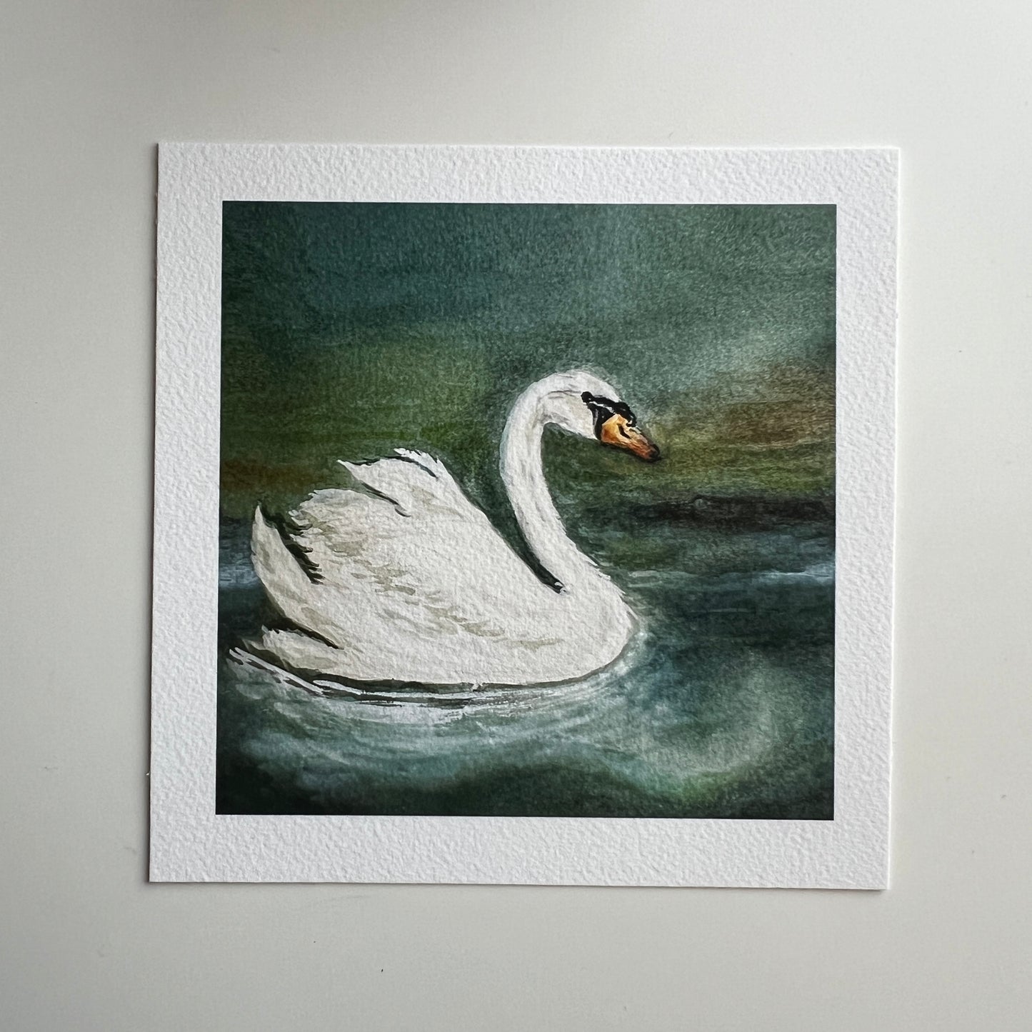 Limited Edition - Swan Giclée Print
