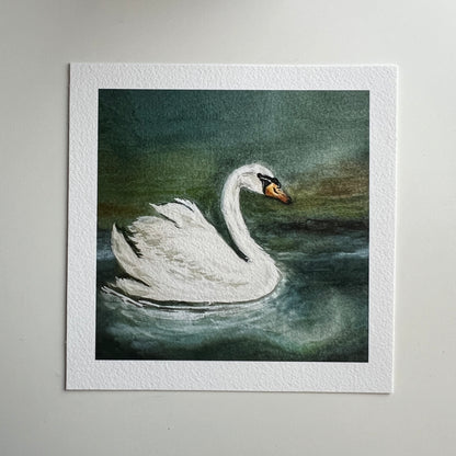 Limited Edition - Swan Giclée Print