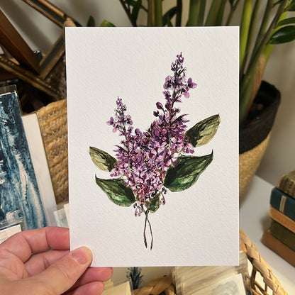 Lilac Art Print
