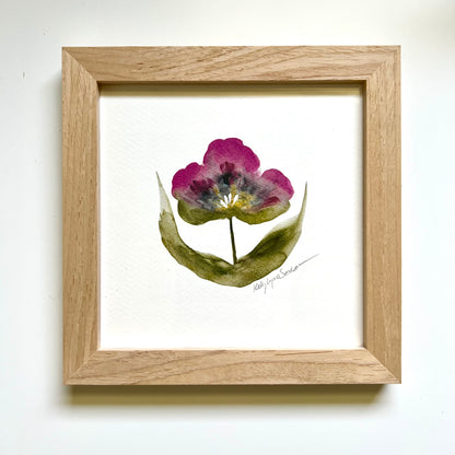 Magenta Bloom