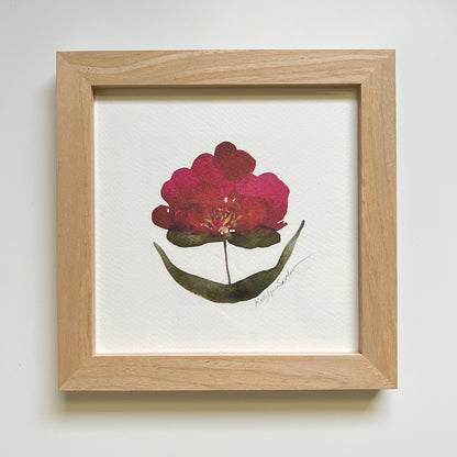 Red Bloom