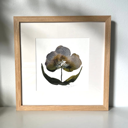 Framed Violet Bloom