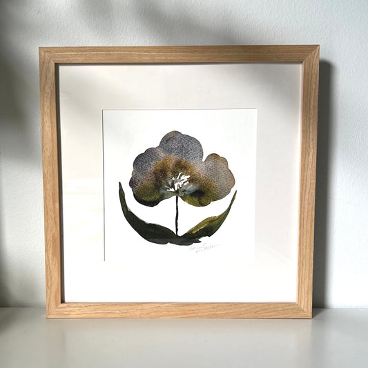 Framed Violet Bloom
