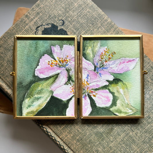 Apple Blossoms