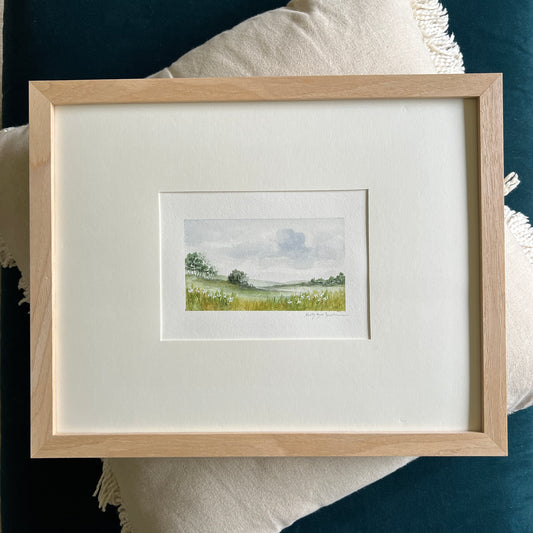 Summer Fields 01