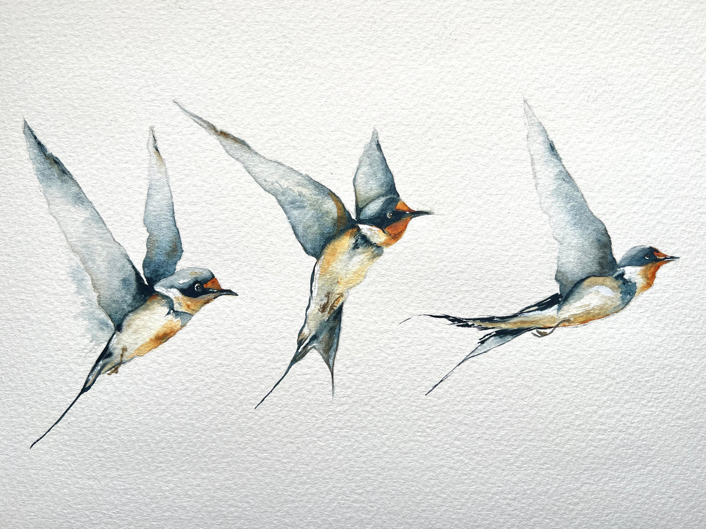 Three Swallows Print