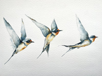 Three Swallows Print