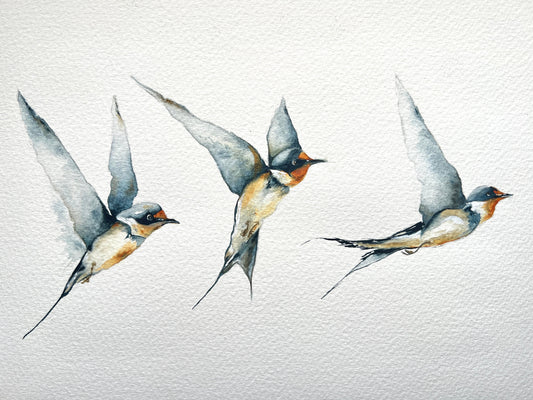 Three Swallows Print