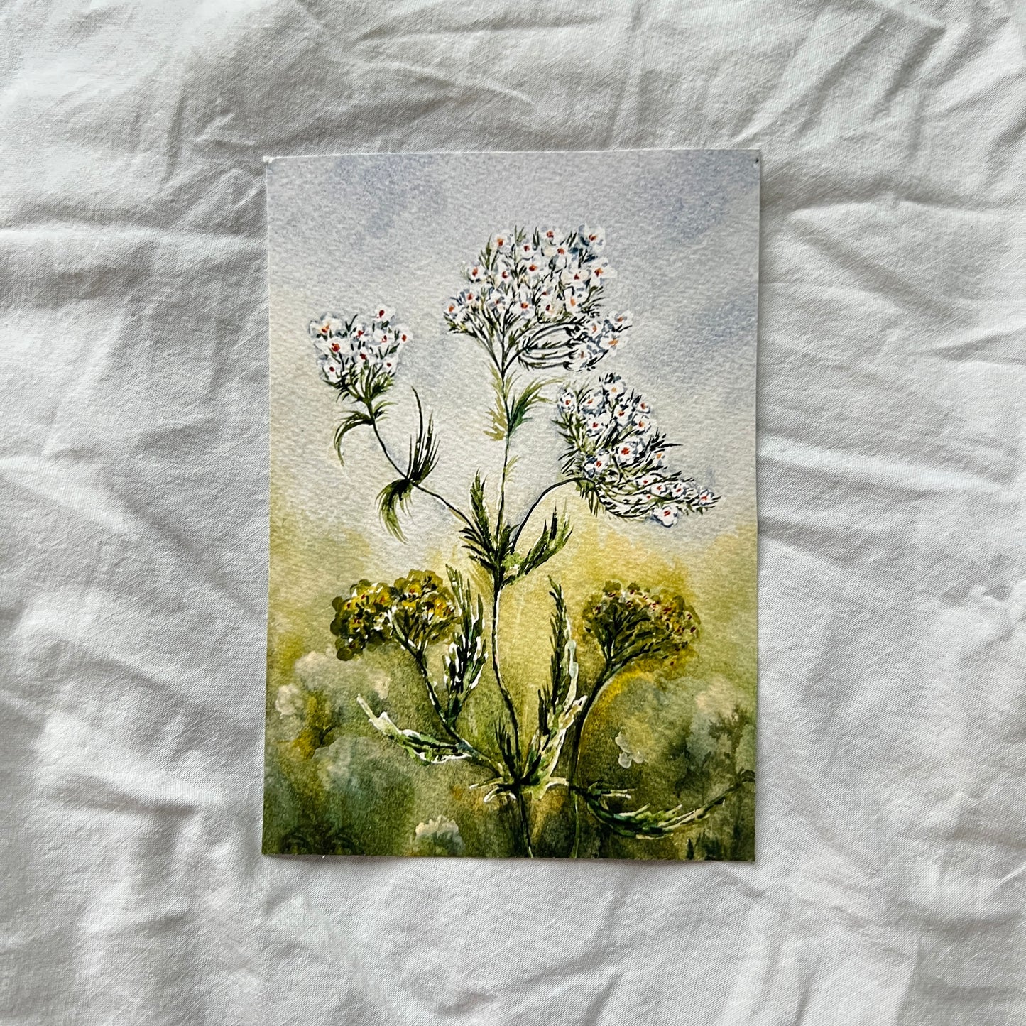 Yarrow Print