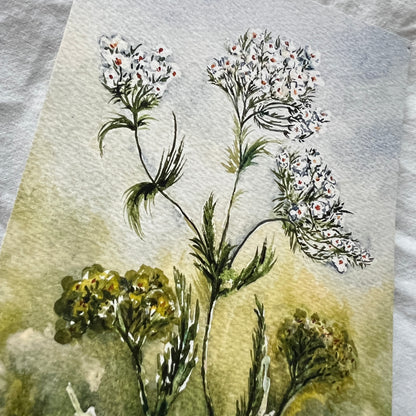 Yarrow Print