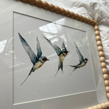 Framed Swallows