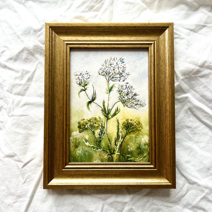 Framed Yarrow
