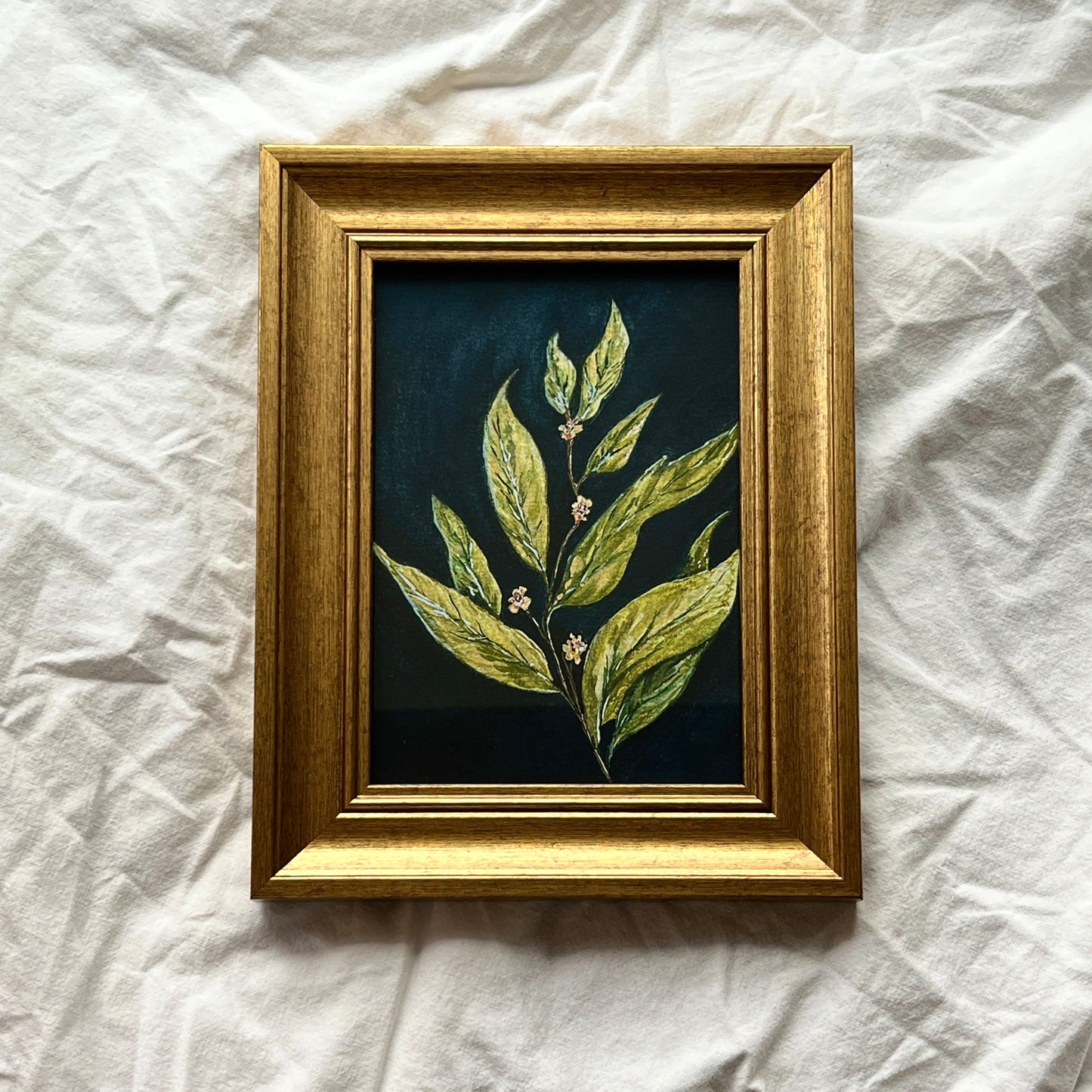 Framed Laurel Leaf