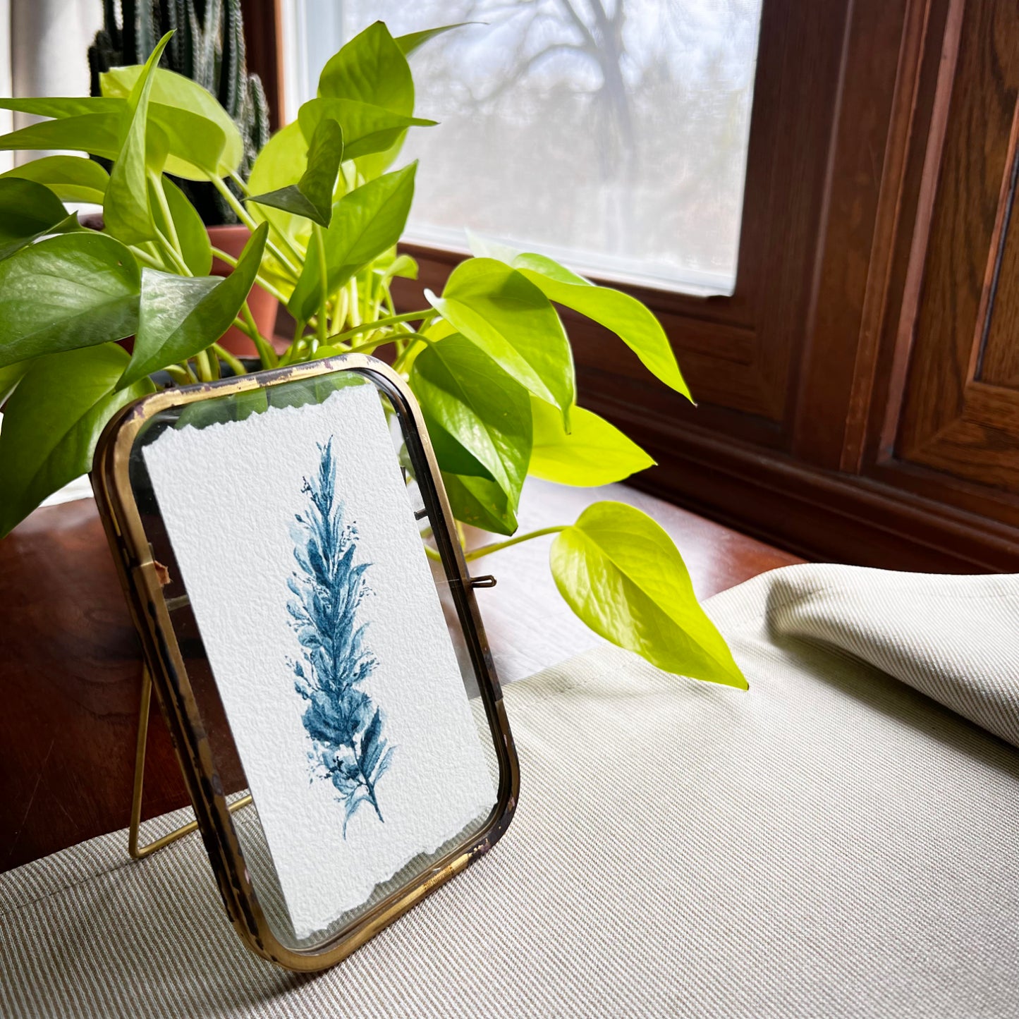 Mayan Blue Stem