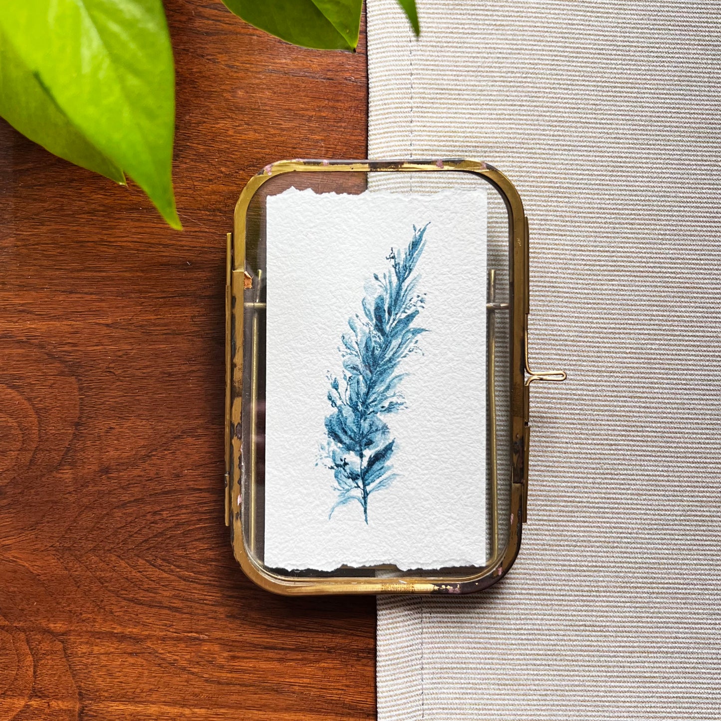 Mayan Blue Stem