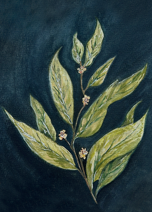 Laurel Leaf Print