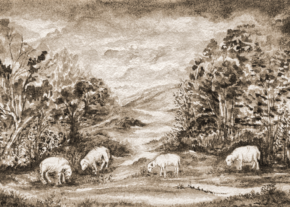 Sepia Sheep Print