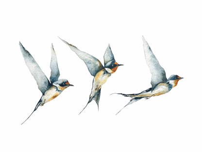 Three Swallows Print