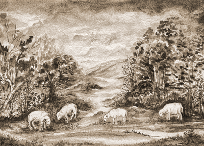 Sepia Sheep Print