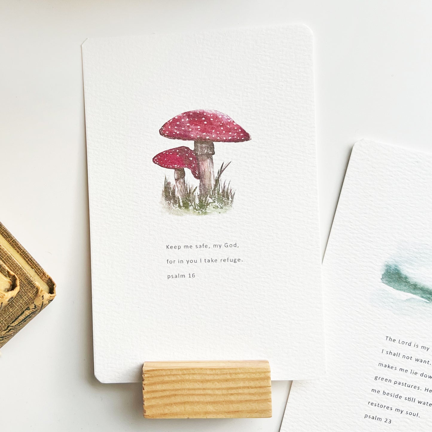 Inspiration Card - Mushrooms